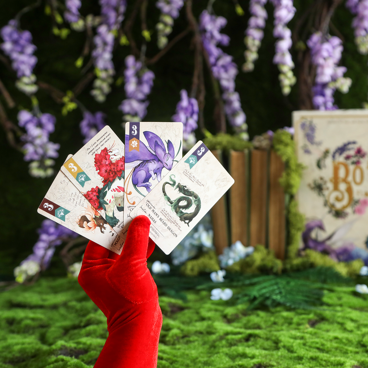 Botany Floral Dragons (Preorder - Ships December 2026)