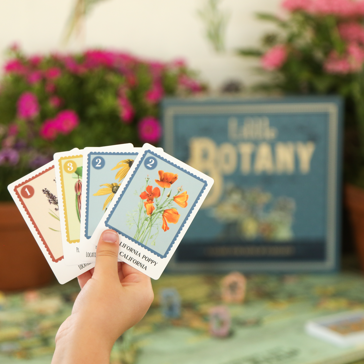 Little Botany (Preorder - Ships December 2026)