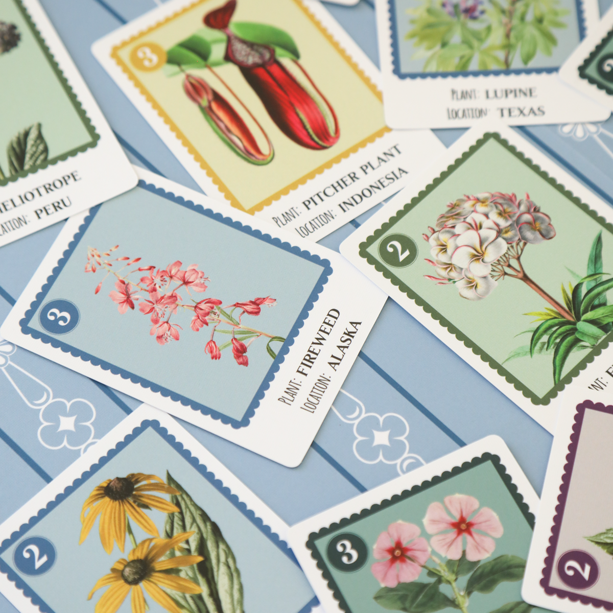 Little Botany (Preorder - Ships December 2026)