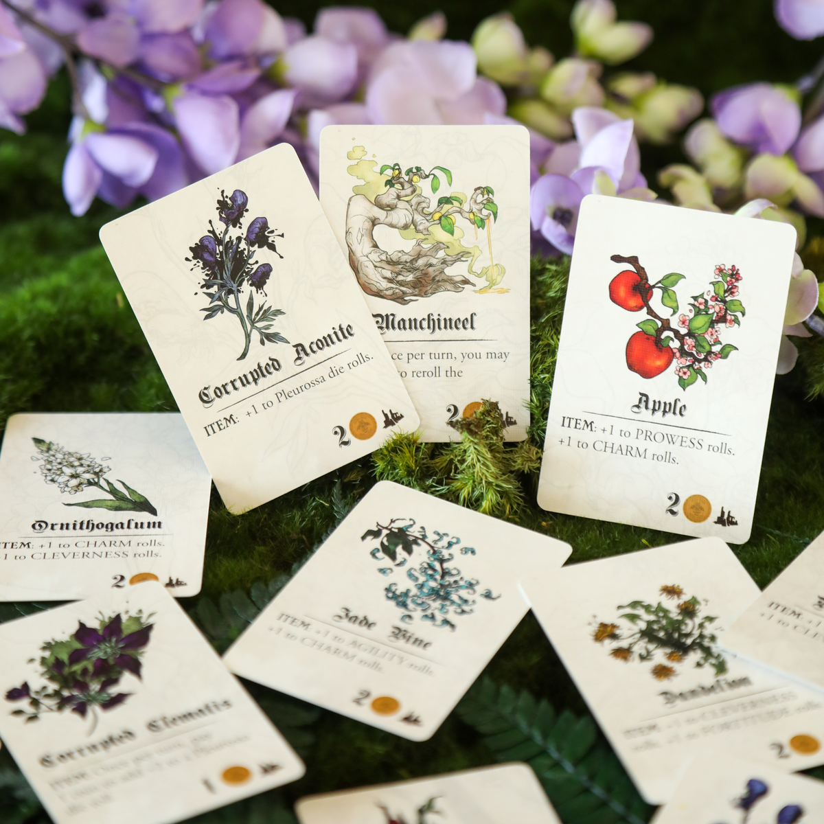 Botany Floral Dragons: Furious Fungus Expansion (Preorder - Ships December 2026)